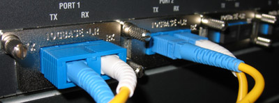 10 Gigabit Backbone